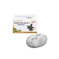 Ista Bitki Kayası Küçük Boy i939