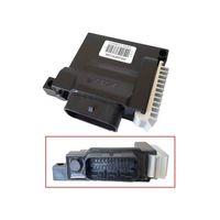 MONDİAL Mondial Ritmica 100 Ecu Beyin (2021-....) Orj