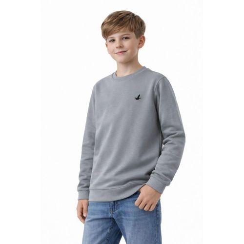 Erkek Çocuk Sweatshirt BGL-ST05228