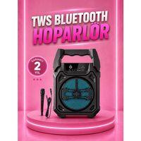 Taşınabilir 6.5” Bluetooth Hoparlör Usb Tf Kart Mikrofonlu Şarjlı Sistem