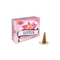 Lotus Cones