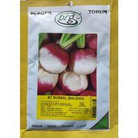 BT Burşal Şalgam Totumu 10 gr