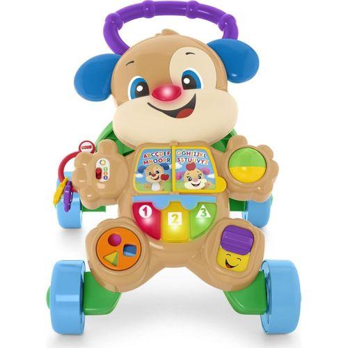 Fisher Price Fisher Price Eğitici Köpekçik Yürüteç (Türkçe) FTG10