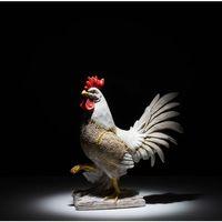 Özel Tasarım Polyester Horoz Figürü