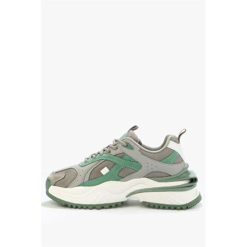 Hammerjack Sapphire Gri Kadın Spor Ayakkabı