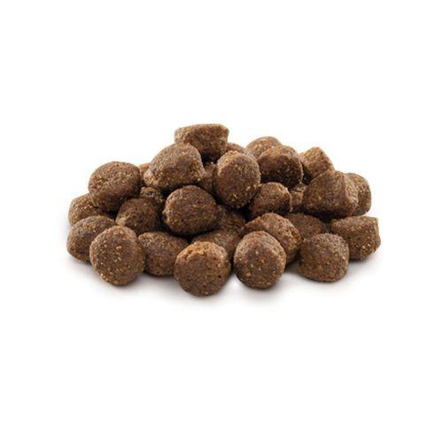 Brit Premium By Nature Orta Irk Yetişkin Köpekler İçin, Tavuk Etli Kuru Mama 15 kg