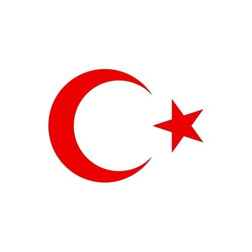 Sticker 20 cm Kırmızı Ay Yıldız Sticker Türk Bayrağı Sticker