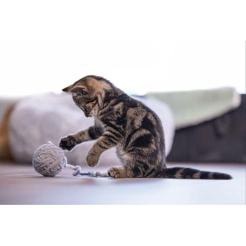 Beeztees Yavru Kedi Oyuncağı, Kuyruklu Yün Top, 6,5cm, 35cm kuyruk