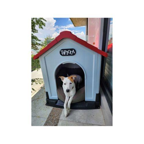 Evcil Hayvan Evi Tabelası 3D Baskı (Bu ürün Sadece Plastik parçadır - Almadan Önce Soru Sorabilirsiniz)