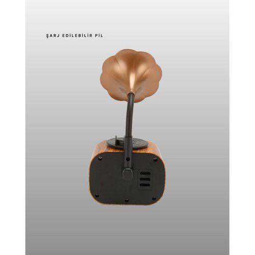 Kablosuz Retro Radyo Hoparlör 5w Güçlü Ses Usb Hafıza Kart Destekli