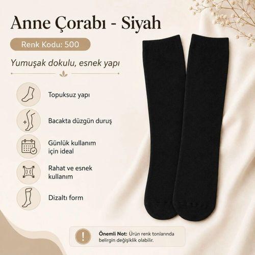 Kadın 70 Denye Kalın Anne Çorabı 6'lı | Dizaltı Topuksuz Esnek, Ten Siyah Bronz Vizon