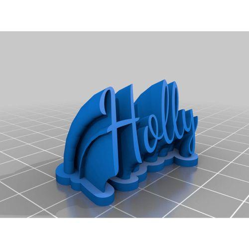 - Holly 3D Baskı (Bu ürün Sadece Plastik parçadır - Almadan Önce Soru Sorabilirsiniz)