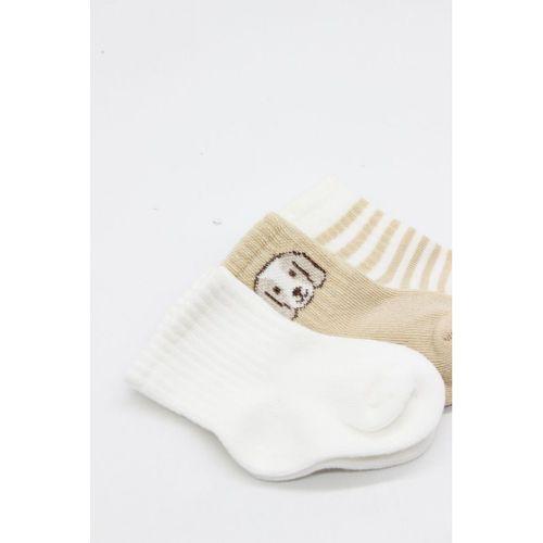 Bistyle Bistyle Dog Boy 3'lü Penye Soket Çorap 10134 Ekru