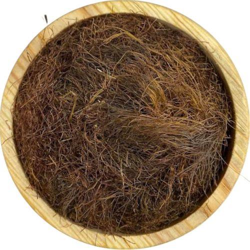 Mısır Püskülü 1KG