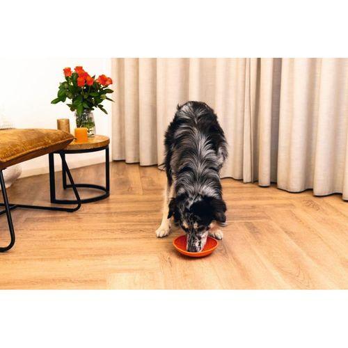 Beeztees Yavru Köpek Mama Yeme Oyuncağı, Silikon, Kırmızı, 19cm