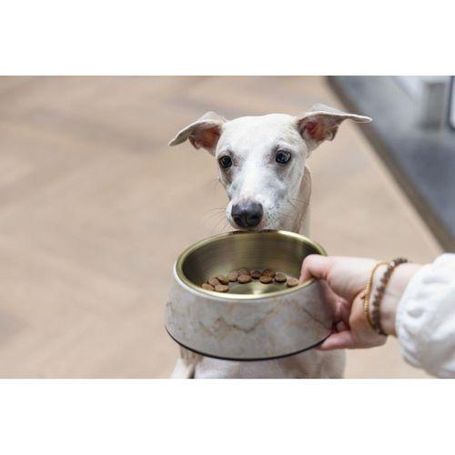Beeztees DBL Köpek Mama Su Kabı, Mat Altın Rengi Paslanmaz Çelik, Bej Mermer Görünümlü, 17,5cm, 350m