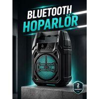 Kablosuz 6 5 İnç Tws Bluetooth Hoparlör