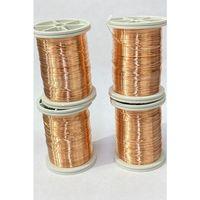 Filoğrafi Teli 0.30 mm 50 grm 4 Adet