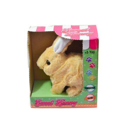 Eğitici Oyuncak 40098 Tavşan Peluş Pilli-Aya Toys