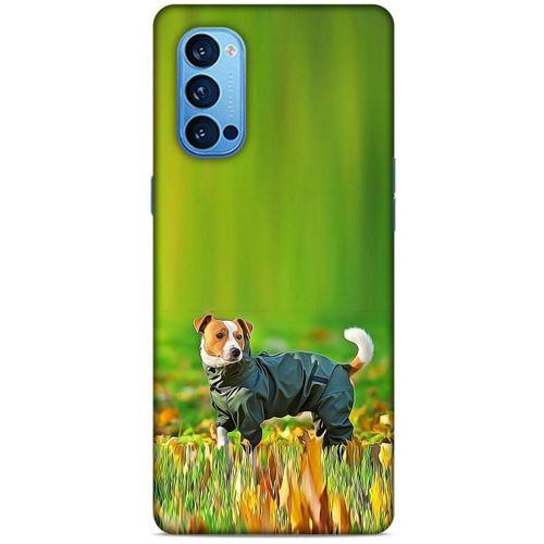 Oppo Reno 4 Pro Kılıf Köpek Kıyafetleri (26) Tpu Silikon Kılıf Jack Russell Yağmurluk