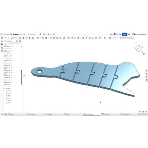 Esnek Fok Anahtarlık (Bu ürün Sadece Plastik parçadır - Almadan Önce Soru Sorabilirsiniz)