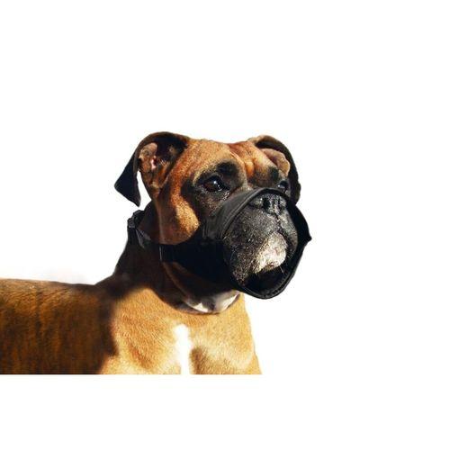 Karlıe Köpek Ağızlığı Özel