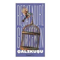 Çalıkuşu Bütün Eserleri 1 İnkılap Kitabevi