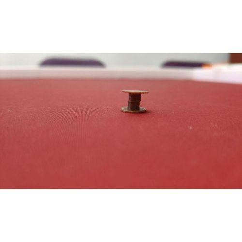 Wistar Sıçanları Tekerlek Mıknatıs Sabitleme 3 mm x 3 mm (Bu ürün Sadece Plastik parçadır - Almadan Önce Soru Sorabilirsiniz)