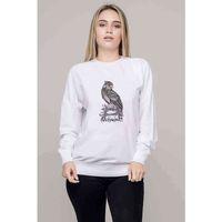 Kafatası Resimde Tıraşlama Gri Kuş Yırtıcı Baskılı Beyaz Kadın Sweatshirt