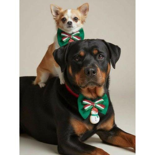 Kardan Adam Küçük Irk Köpek Papyon Tasması | Kırmızı Fiyonk Boyun Aksesuarı | Noel Temalı Köpek Süsü