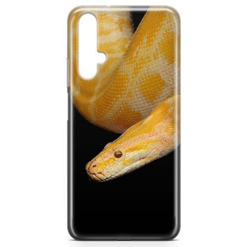 Huawei Nova 5t Kılıf Zehir Arka Kapak Koruma Desenli Full Koruyucu