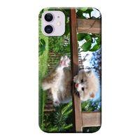 iPhone 11 Kılıf Kedi Yavrusu Baskılı Esnek TPU Silikon