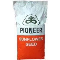 Pioneer P64LC108 Ayçekirdeği Tohumu (İntervix)