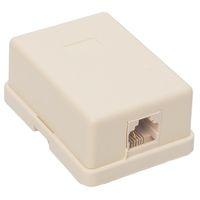 Powermaster Tekli Telefon Kutusu 6P/2C