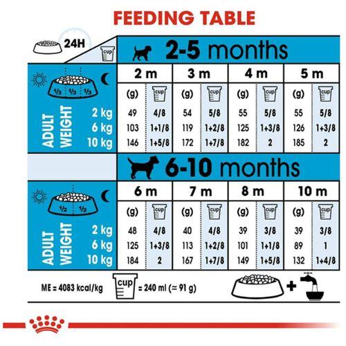 Royal Canin Mini Junior Küçük Irk Yavru Kuru Köpek Maması 2 Kg