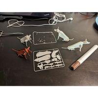 Kit Kart Pitbull Köpek ABS Baskı 00149