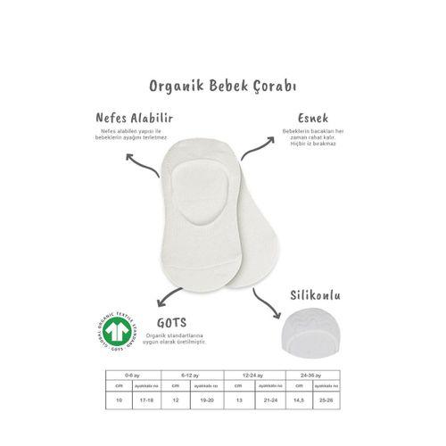 Bistyle Bistyle 2'Li Penye Babet Silikonlu Basic Çorap 30104 Ekru Ekru