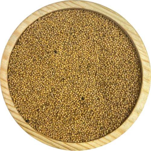 Sarı Hardal Tohumu 1KG