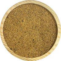 Sarı Hardal Tohumu 1KG