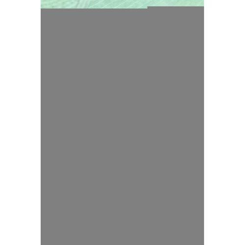 4 Adet Kadın Yüksek Bel Ribana Bato Külot S042