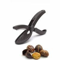 Plastik Kestane Çizeceği