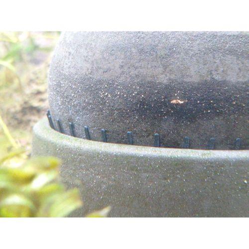Söchting Oxydator A - 5110675 için düzelt