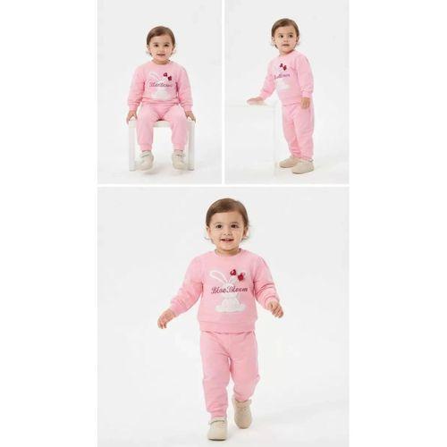 6/24 Ay Tavşan Baskılı Pamuk Penye Bebek Takımı