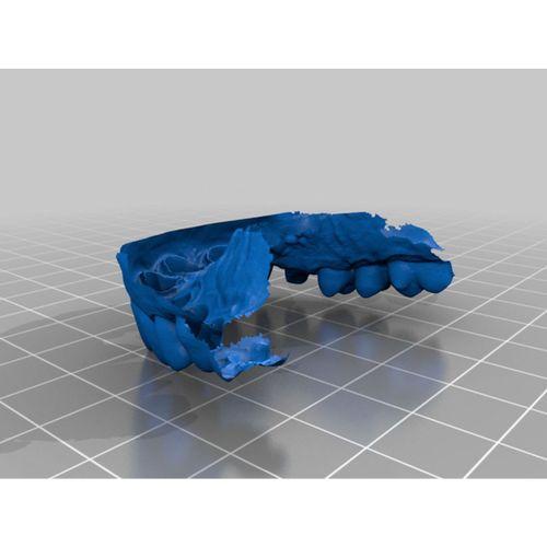 05 El Ments Köprüsü Tam Zirkon (Bu ürün Sadece Plastik parçadır - Almadan Önce Soru Sorabilirsiniz)