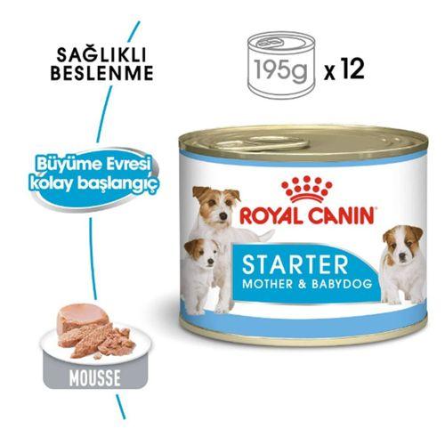 Royal Canin Starter Mousse Yavru Köpek Konservesi 195 Gr