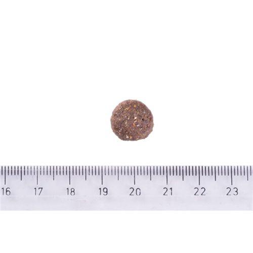 Brit Care Orta Irk Yetişkin Köpekler İçin, Tek Proteinli, Hipoalerjenik, Kuzu Etli Kuru Mama 12 kg