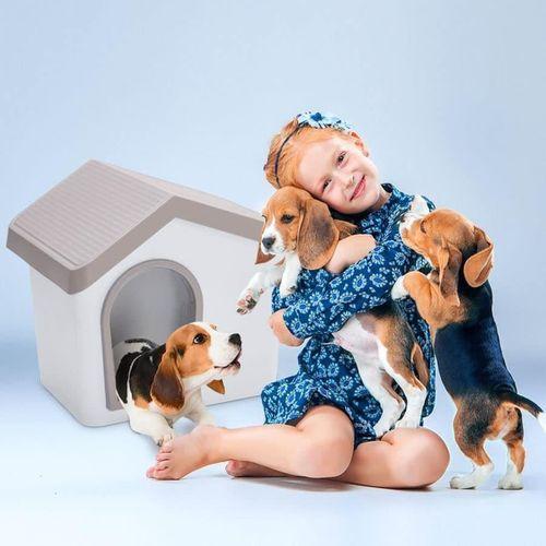 Imac Zeus 50 Evcil Hayvan Evi Bej/beyaz 53x46x47,6cm