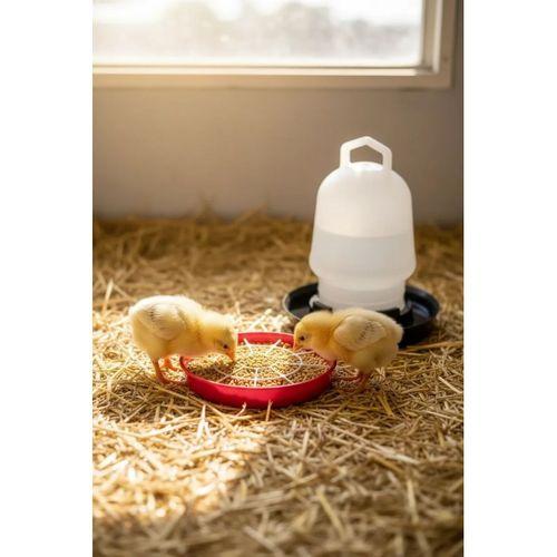 Civciv Suluk 0,75 Ml Kaliteli Plastik + Tabak Yemlik