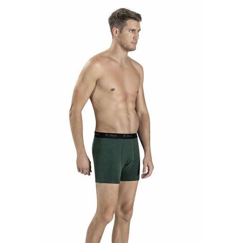 Erkek Yeşil Modal Pamuklu Boxer 321