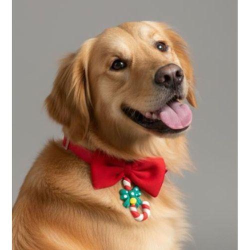 Candy Xmas Yılbaşı Köpek Papyon Tasması | Kırmızı Fiyonk Boyun Aksesuarı | Noel Temalı Köpek Süsü | Orta ve Büyük Irklar İçin